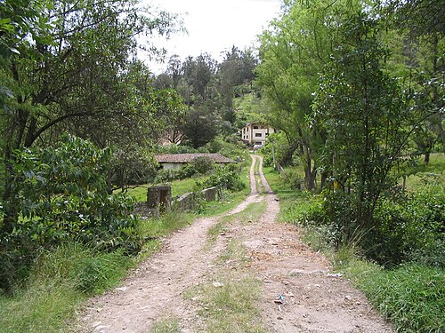 田舎道