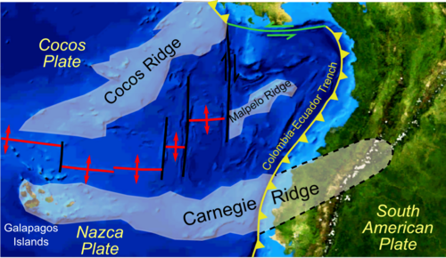 1942年の地震の震源地を示すカーネギー海嶺の地図