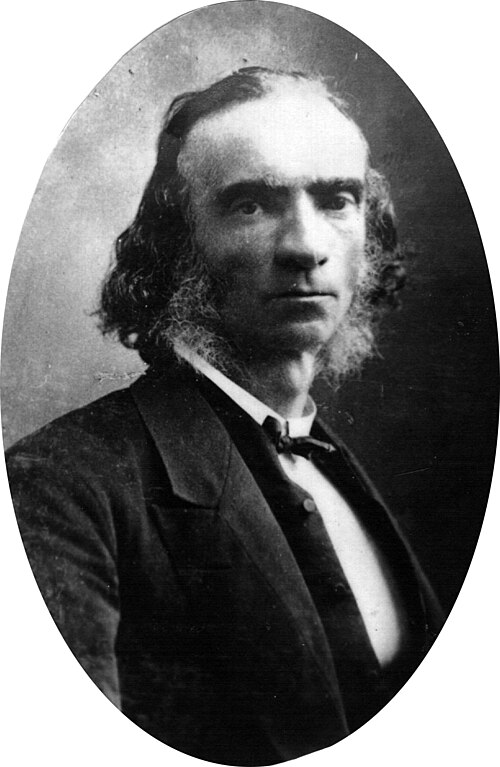 ダニエル・ウィルソン卿の肖像画、1860年頃