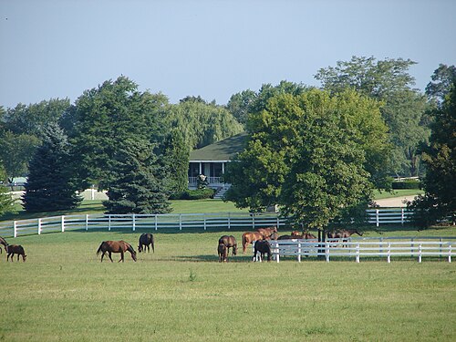 バリントンヒルズの馬牧場