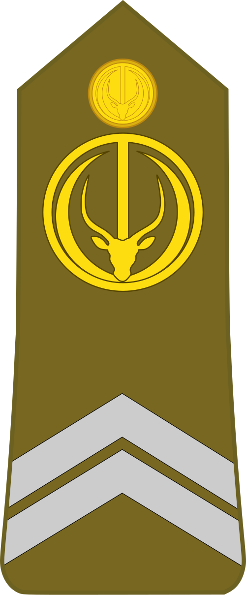 カポラル（チャド陸軍）