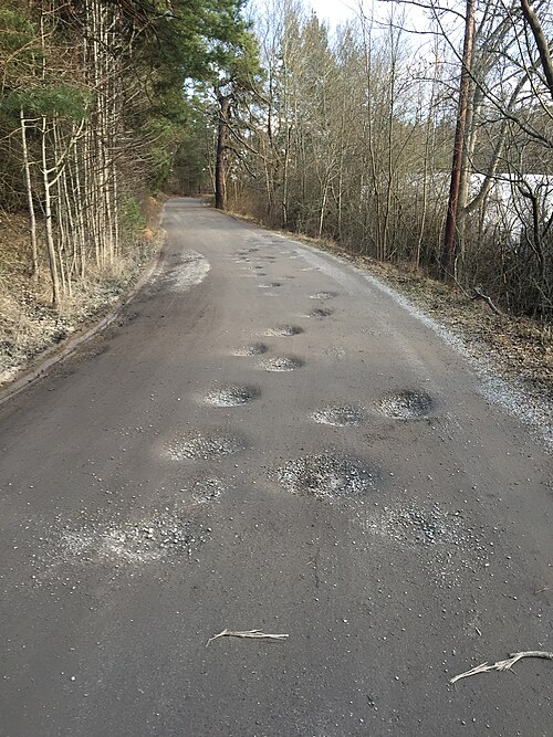 スウェーデンの未舗装道路の穴