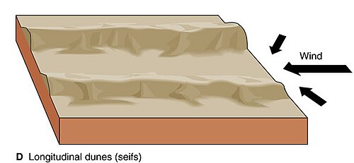 セイフ砂丘形成の平均方向縦断モデル