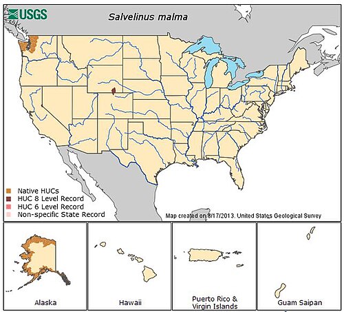 ドリー・ヴァーデンの米国分布を示す地図