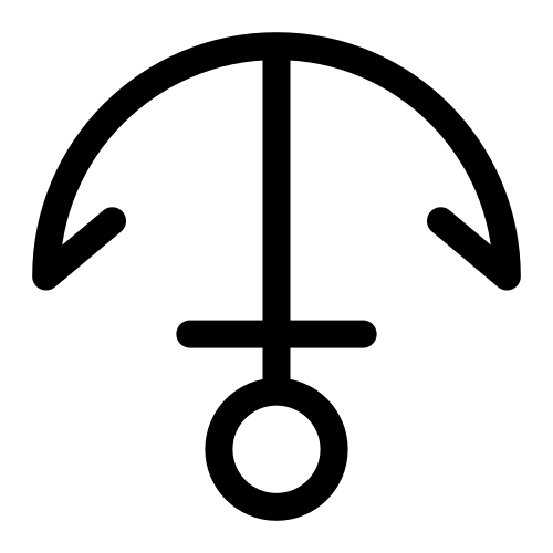 🝸