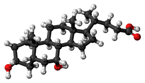 ケノデオキシコール酸分子の球棒モデル