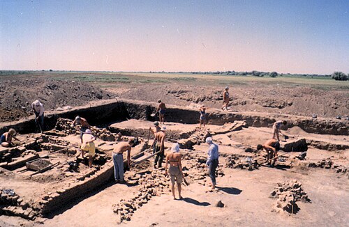 古代の建物の発掘された基礎の中で作業するシャツ姿の人々の写真