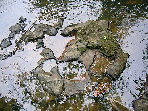 主流から少し離れた様々な盆地