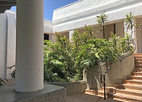 2022 年の Cuesta College の 6300 号館の階段付近の紅葉の様子です。