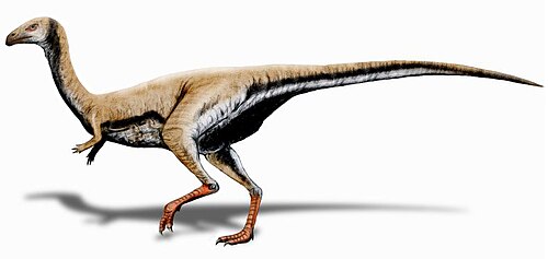 リムサウルスの復元図