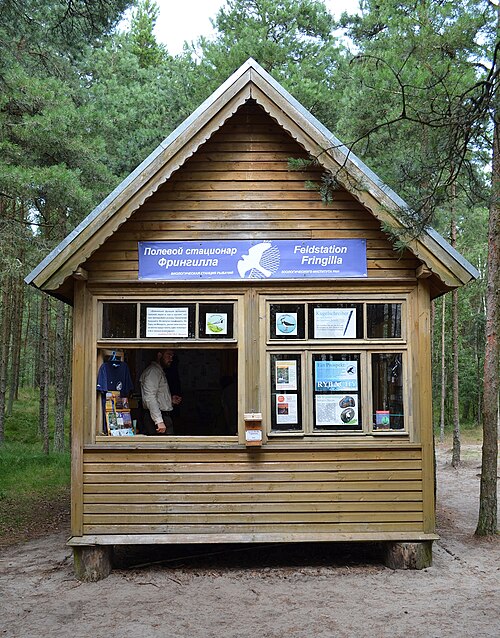 2011年、リバチのフリンギッラ駅。