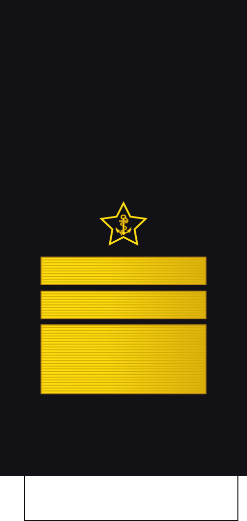 Вице-адмирал中将(カザフスタン海軍)