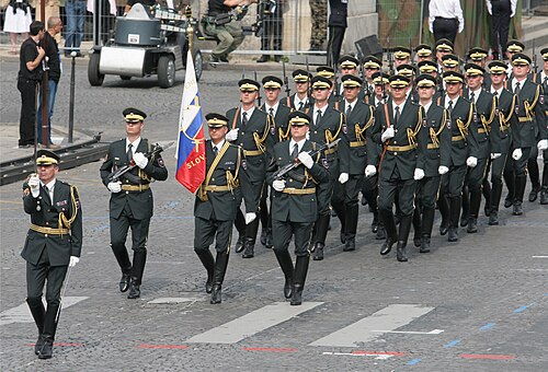 フランス革命記念日の軍事パレードで