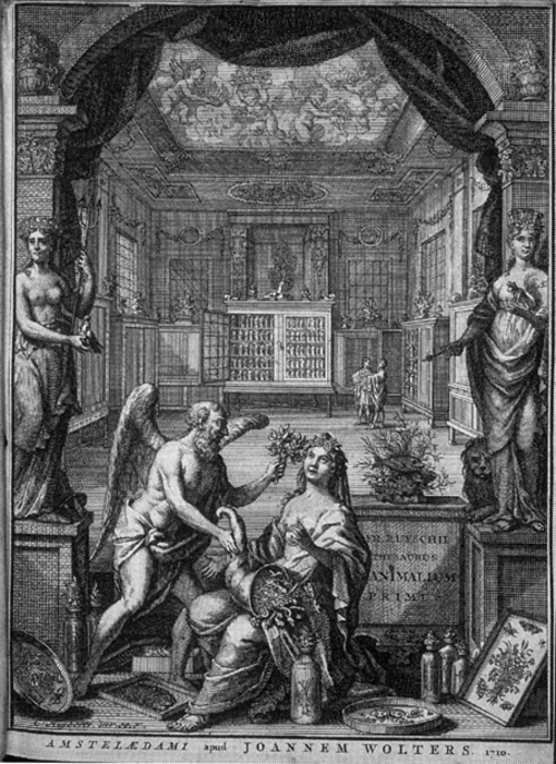 Seba の Thesaurus の口絵、Frederik Ruysch の初期の 1710 年 Thesaurus Animalium Primus を参照