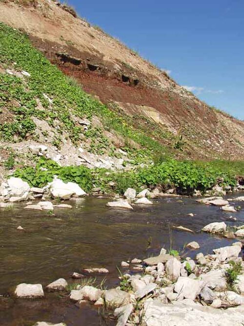 アブドゥリンスキー地区の保護地域に湧き出る泉