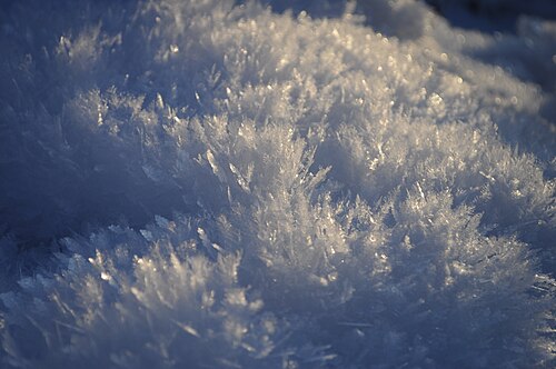 アラスカの霜