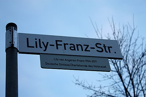 リリー・フランツ通りと書かれた道路標識の写真