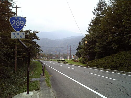 R289-カシ.JPG