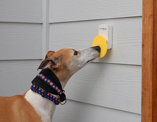 ドアベルを持った犬