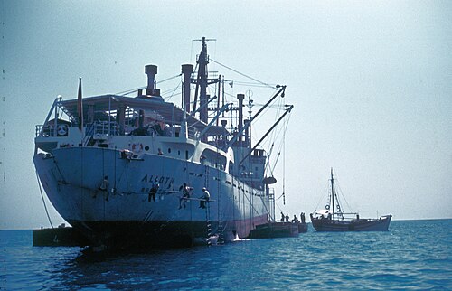 1950年代、タソス島リメナリアでの船舶への積み込み作業