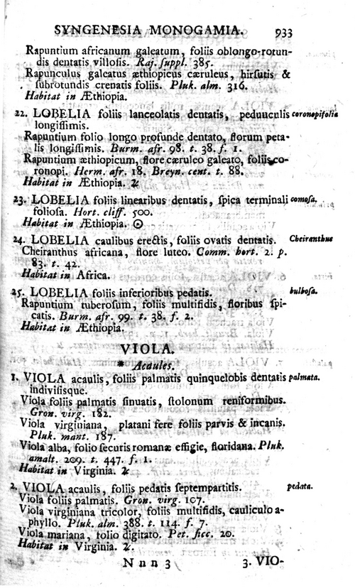 リンネによる1753年のヴィオラの記述の最初のページ