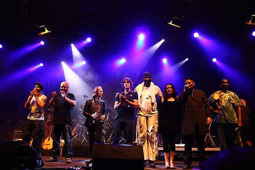 TFF.Rudolstadt 2010 でのアフロ ケルト サウンドシステム。LtR: Johnny Kalsi、Simon Emmerson、Iarla Ó Lionaird、Ian Markin、N´Faly Kouyate、Emer Mayock、James McNally、Moussa Sissokho。