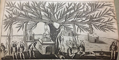 ガジュマルの木の下でヨガのアーサナを行うインド人男性たち（1688年）
