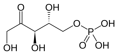 リブロース5-リン酸の化学構造の2次元表示。