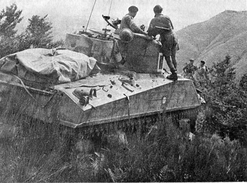 丘の頂上に立つシャーマン戦車。