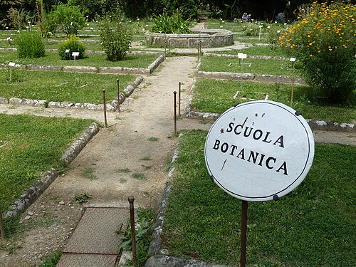 植物が自然の体系の秩序に従っているリンネの庭園