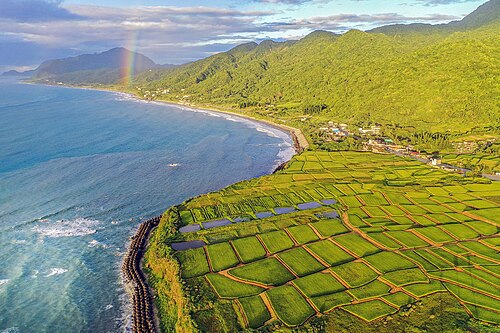 花蓮の豊浜の海岸沿いの水田