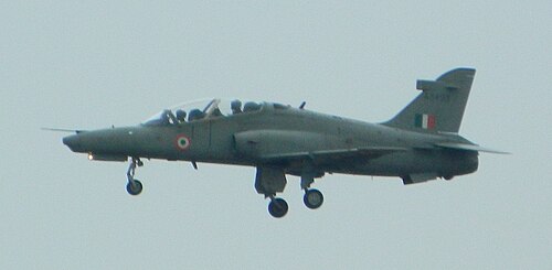 AFSビダール上空を飛ぶタカ
