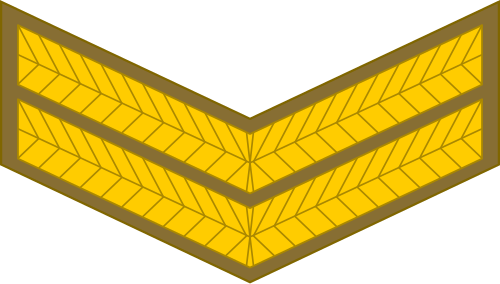 伍長（南アフリカ陸軍）