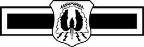 士官候補生訓練アシスタントバッジ