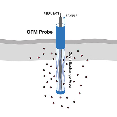 OFMプローブの概略図
