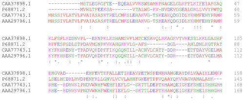 文章