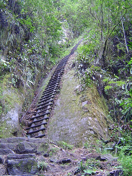 プトゥクシ山の山頂への登山道にある、急勾配の木製梯子の中で最も大きなもの。2007年に撮影された写真。