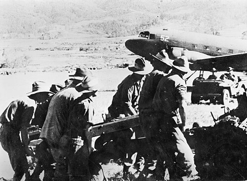 スラウチハットをかぶった兵士たちが飛行機から大砲を乱暴に扱う