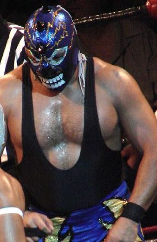 スパイクの付いた青いマスクを被った覆面プロレスラーの写真。