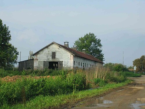泥道の脇の草木が生い茂った地面に囲まれた長い赤い屋根の農場の建物の眺め