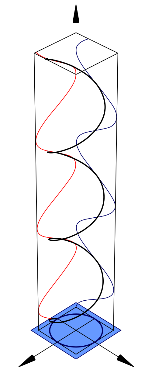円偏光図