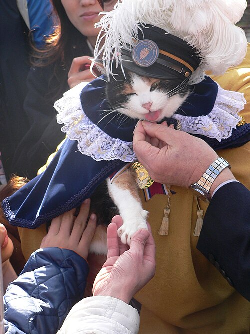 2009年1月4日、「わかやまdeナイト」の勲章をつけたたま