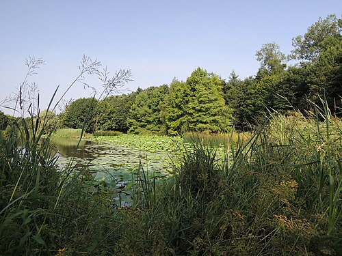 ガイユル公園