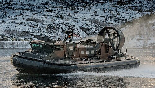 LCAC コールドレスポンス.jpg