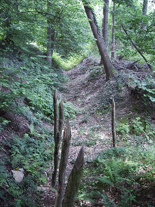 古い溝と城壁の跡