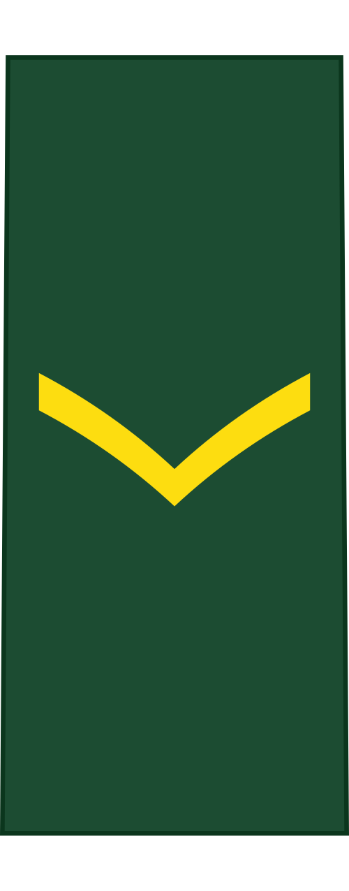 伍長（フランス語：Caporal）（カナダ陸軍）