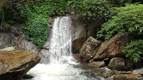 渓流