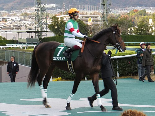 ラジオNIKKEI杯2歳ステークス