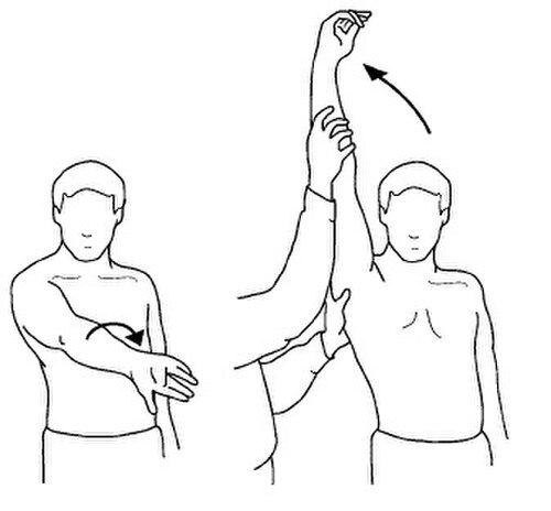 2つの場面における人物のイラスト:1)腕を体の前に伸ばし、反時計回りにひねる、2)別の人物が腕を頭上に垂直に上げる。