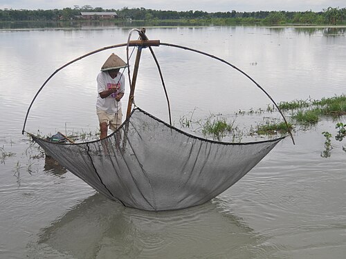 インドネシア中部ジャワ州ケブメンの冠水した灌漑用水路で使用されている携帯式手動揚水ネット。